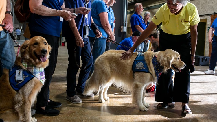 Florida therapy dogs head to Uvalde to support grieving community