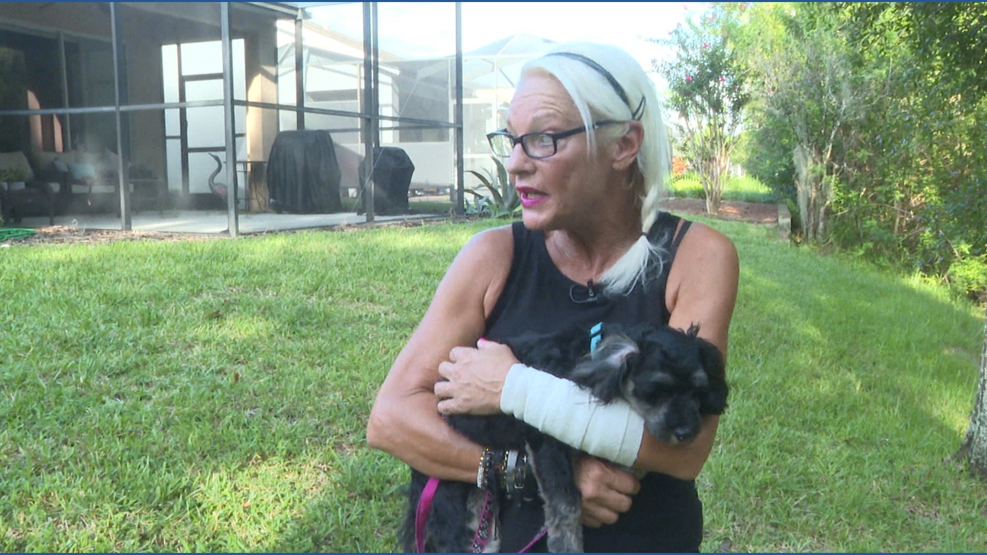 A woman in Land O' Lakes is recovering from a bite after she saved her puppy from an alligator in her backyard.