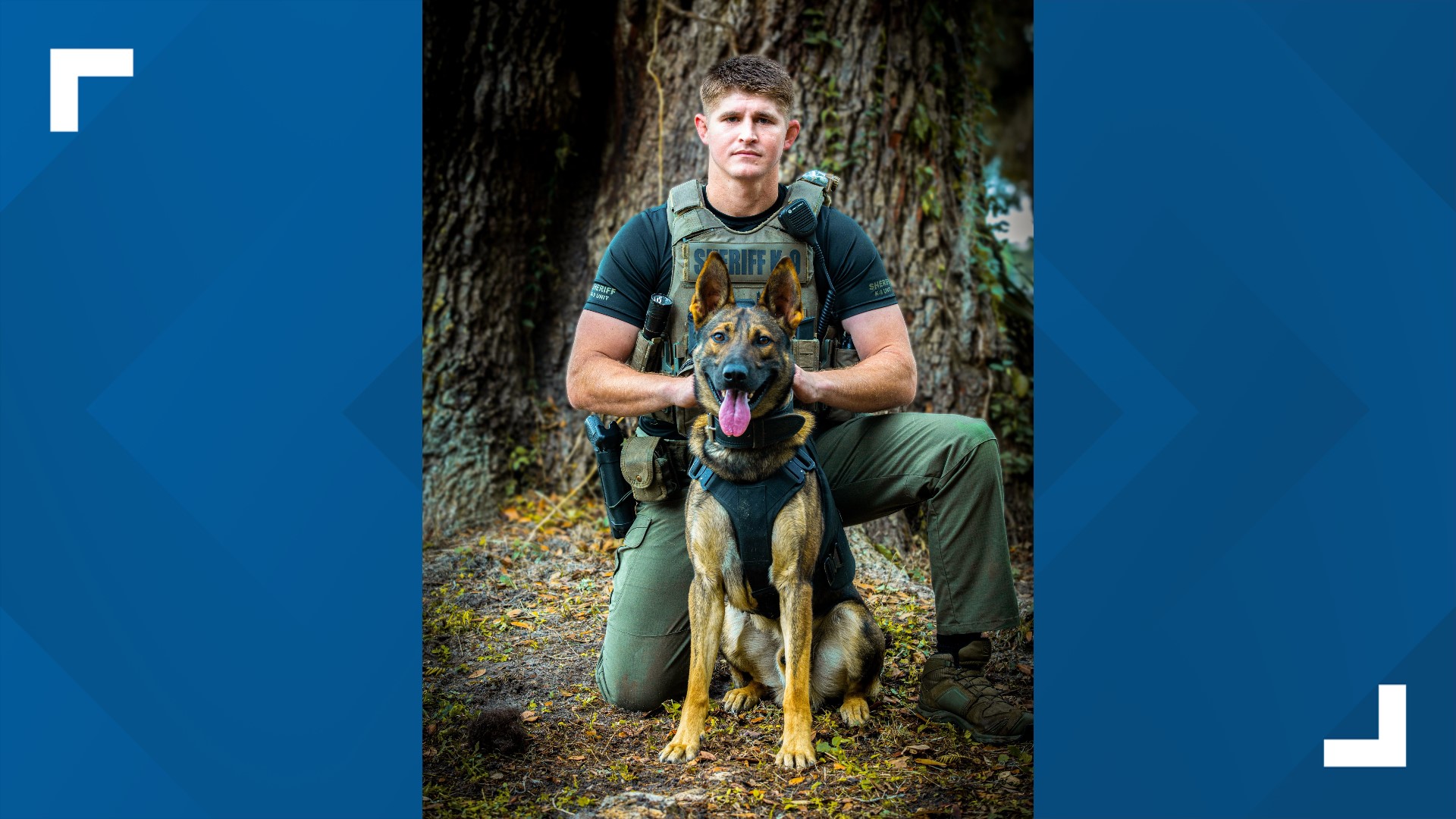Marion County deputy K-9 Leo dies after being shot | firstcoastnews.com