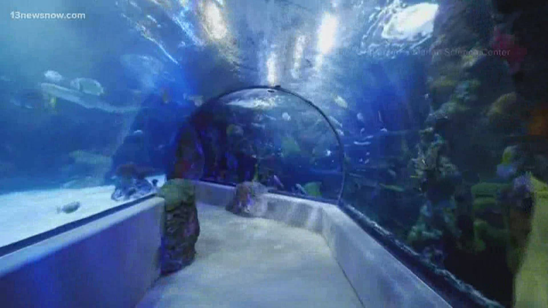 The aquarium is home to thousands of animals and relies on ticket sales and gift shop visits to offset animal care costs.