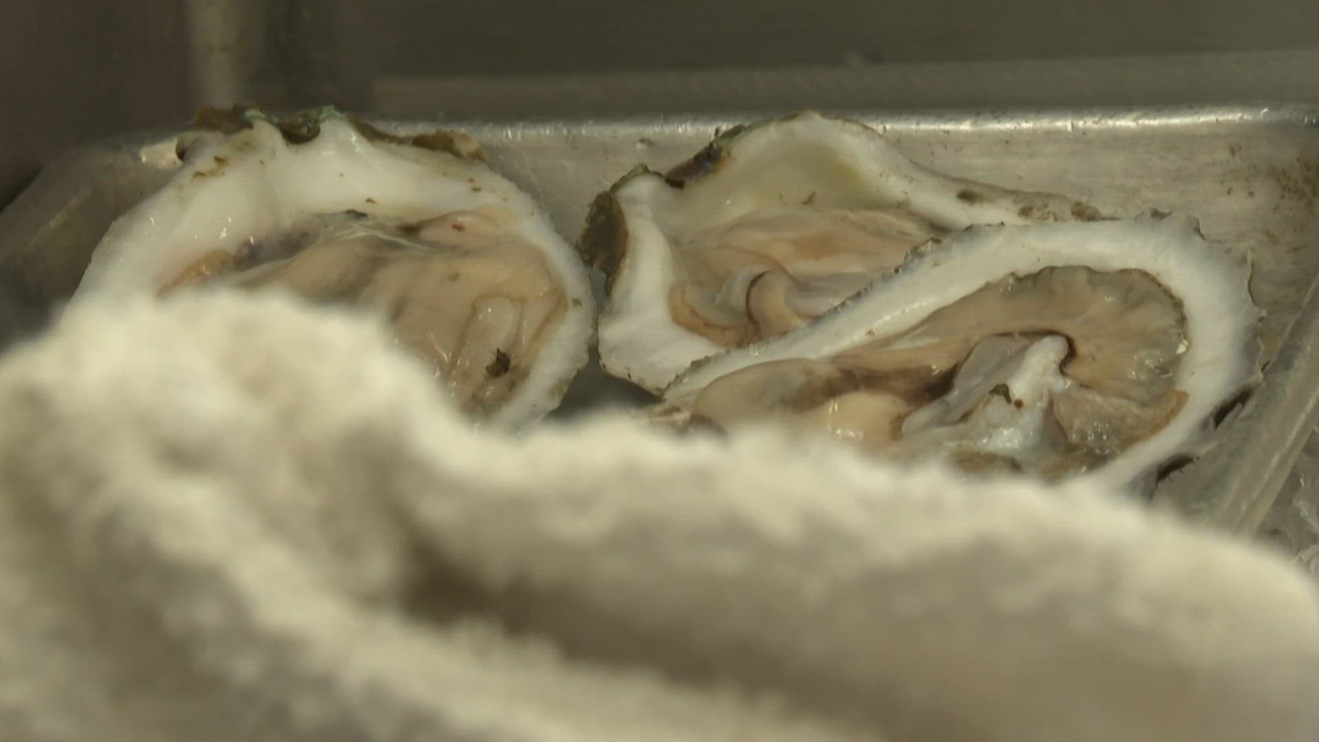 Health officials confirm 6 deaths and 34 infections from Vibrio vulnificus in 2025.