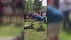 Couple uses alligator for gender reveal party
