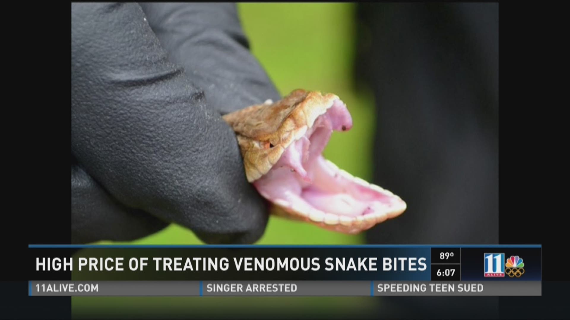 Why it's not a good time to be scared of snakes in