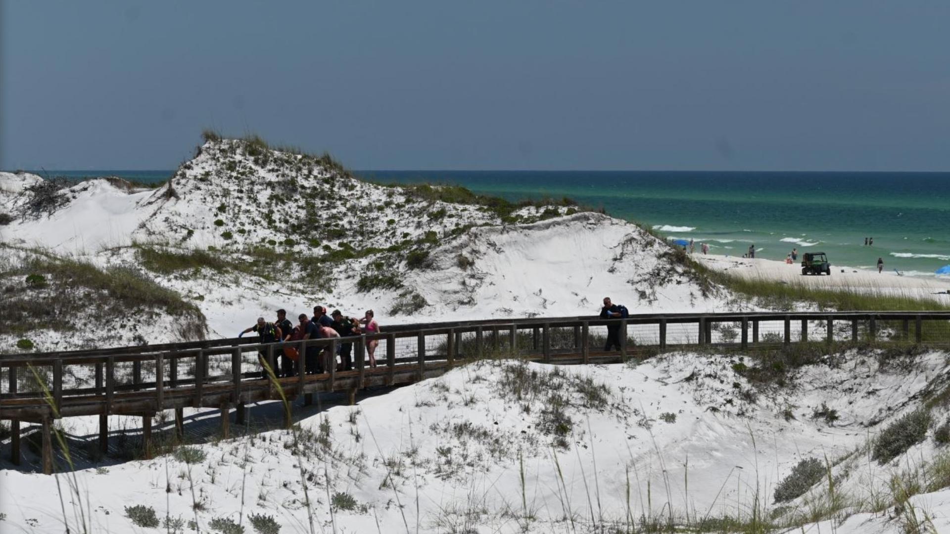 Shark attacks in Florida | Hammerhead spotted off coast day after ...