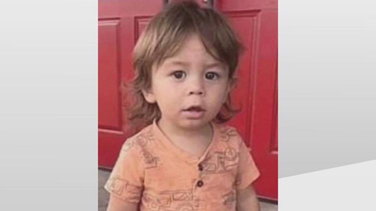 Missing Savannah toddler's grandfather reportedly struck, killed in Burke County crash